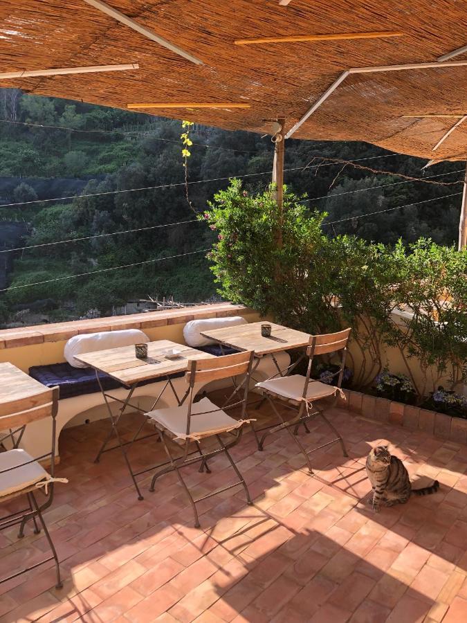Villa Torre Dello Ziro 라벨로 외부 사진